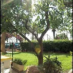 Lido